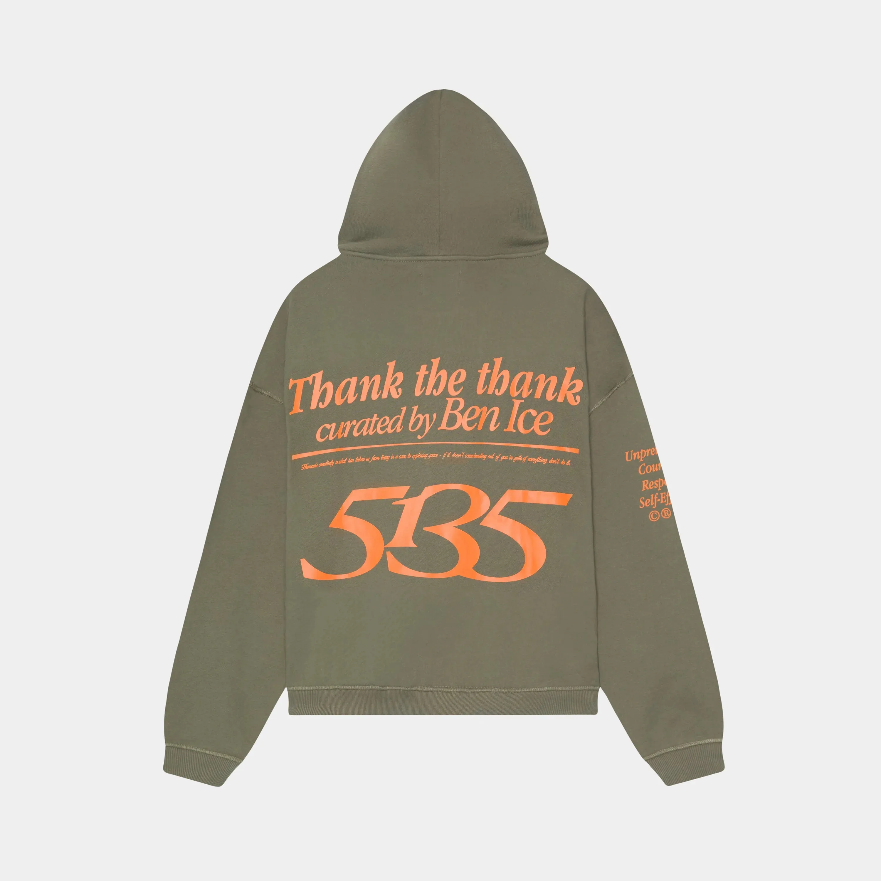 5135 Sage Oversized Hoodie