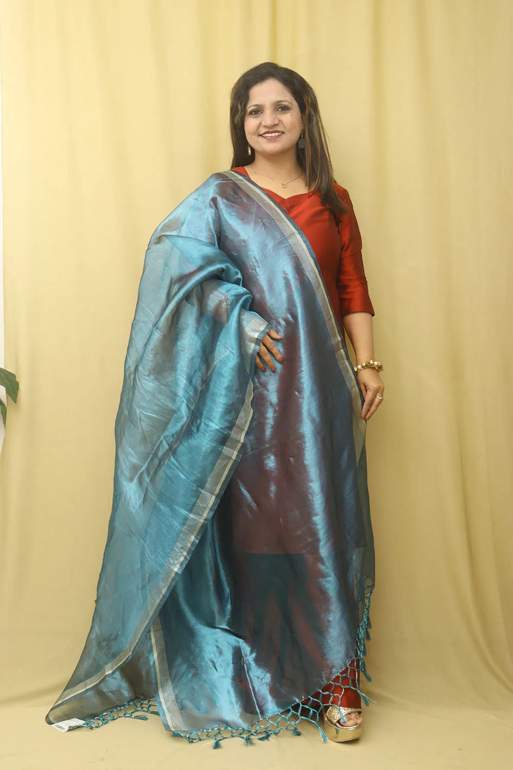 Blue Banarasi Plain Tissue Dupatta